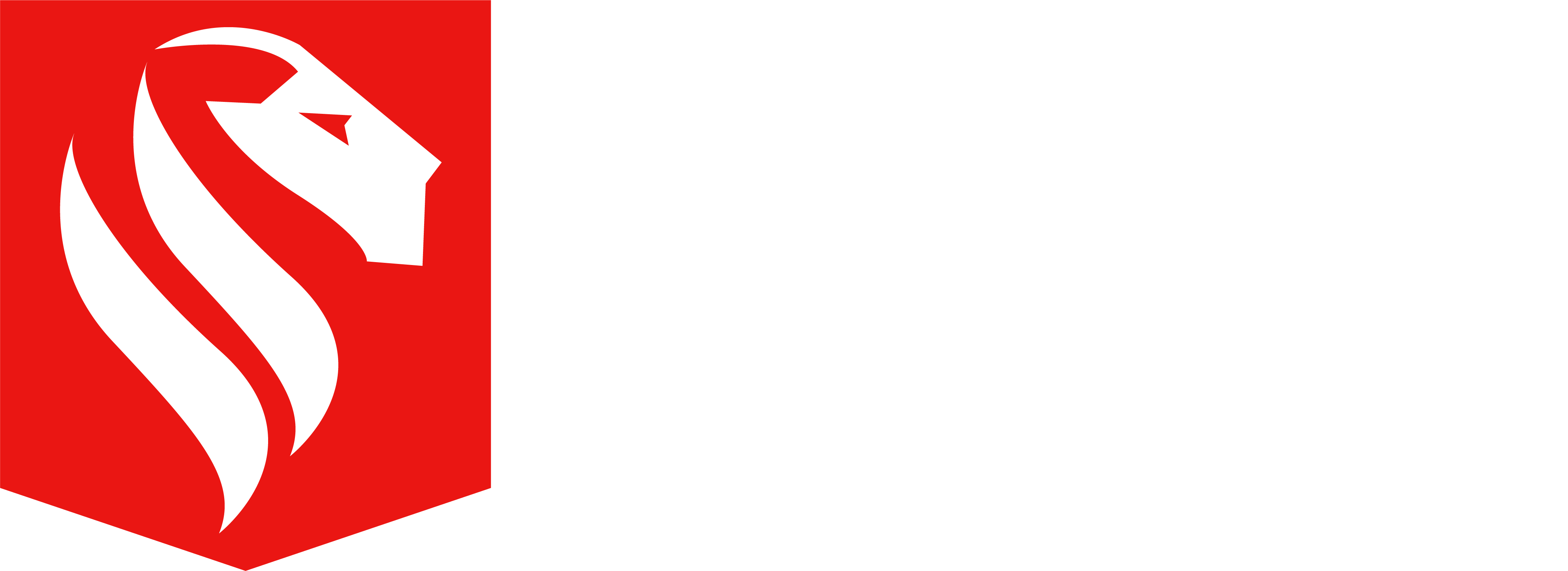 leotech_blanco