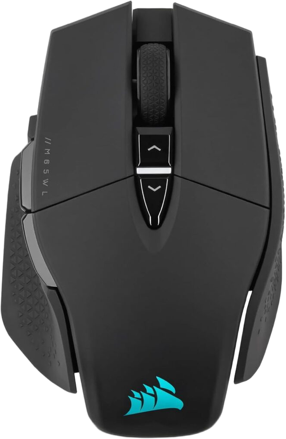 Mouse